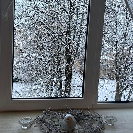 Cozy Studio Apartment In The Center Of Рига Экстерьер фото